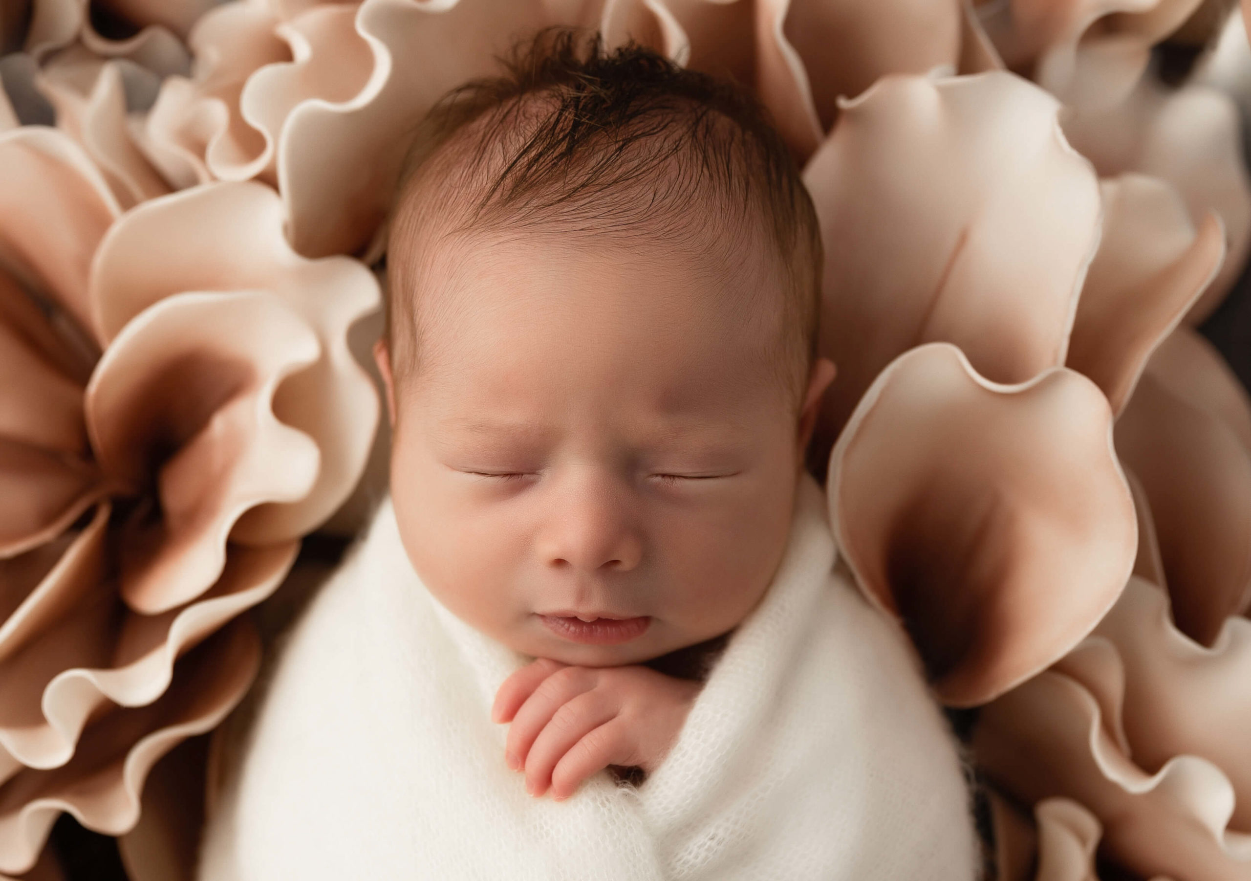 Photo of a newborn girl with pink flowers